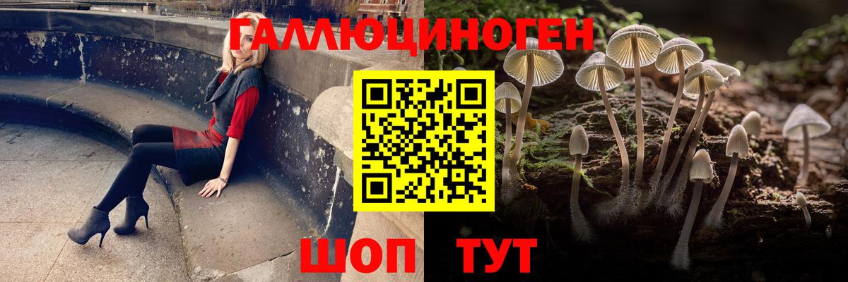 Сургут  сколько стоит  Галлюциногенные грибы GOLDEN TEACHER  Вход с VPN  Галлюциногенные грибы мухоморы 